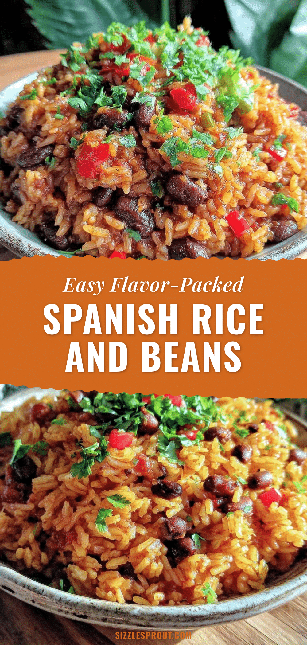 Spanish rice and beans recipe recipe