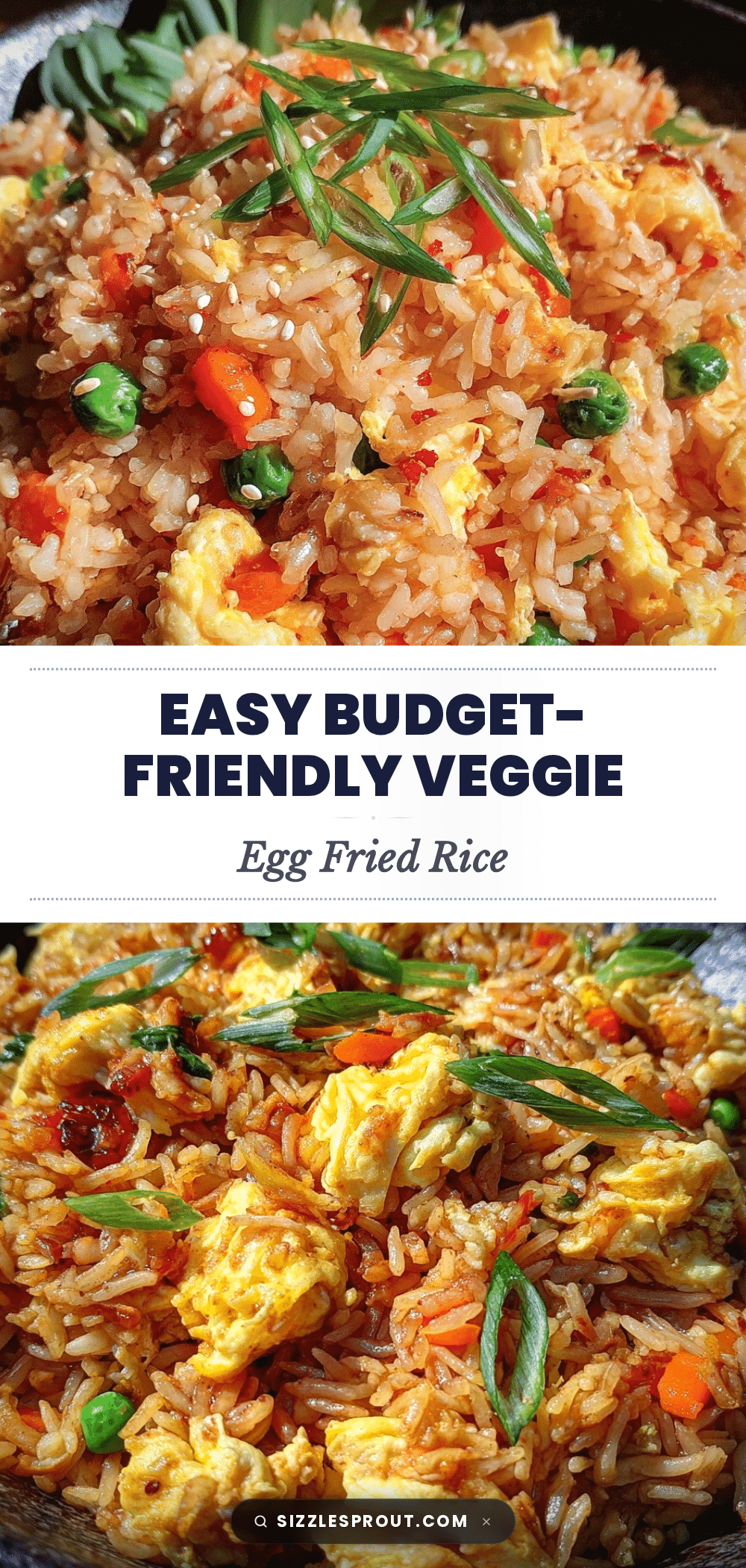 student budget stir-fry recipe