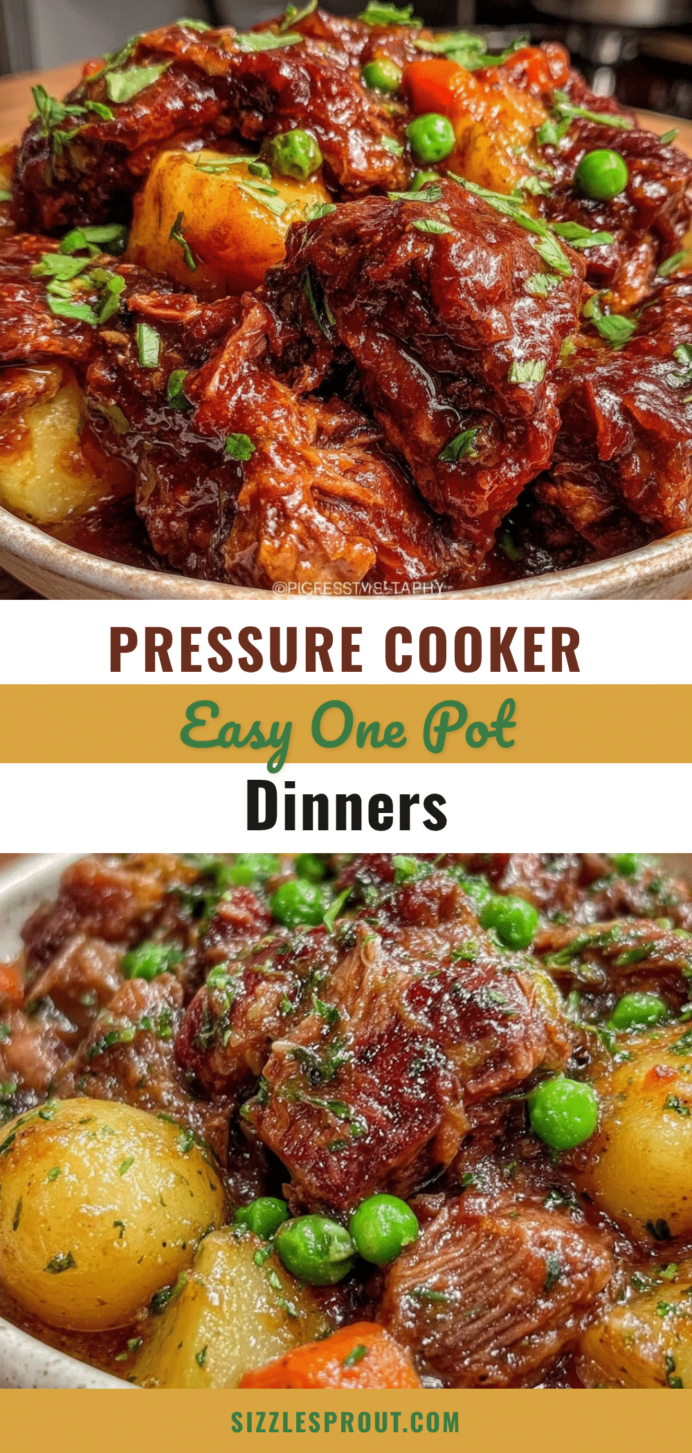 easy pressure cooker family meals recipe
