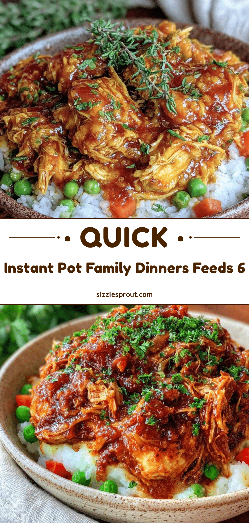 quick instant pot family dinners recipe