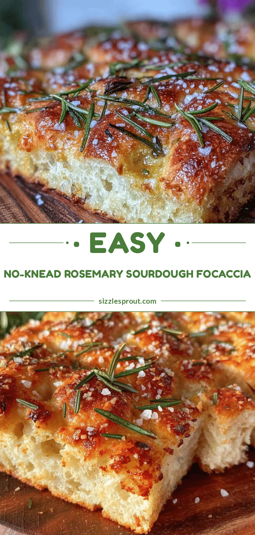 no-knead sourdough focaccia recipe