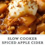 slow cooker spiced apple cider - featured image