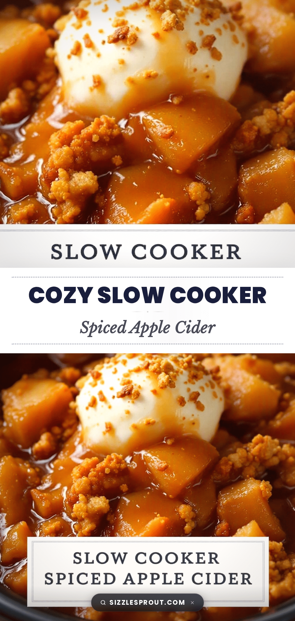 slow cooker spiced apple cider recipe
