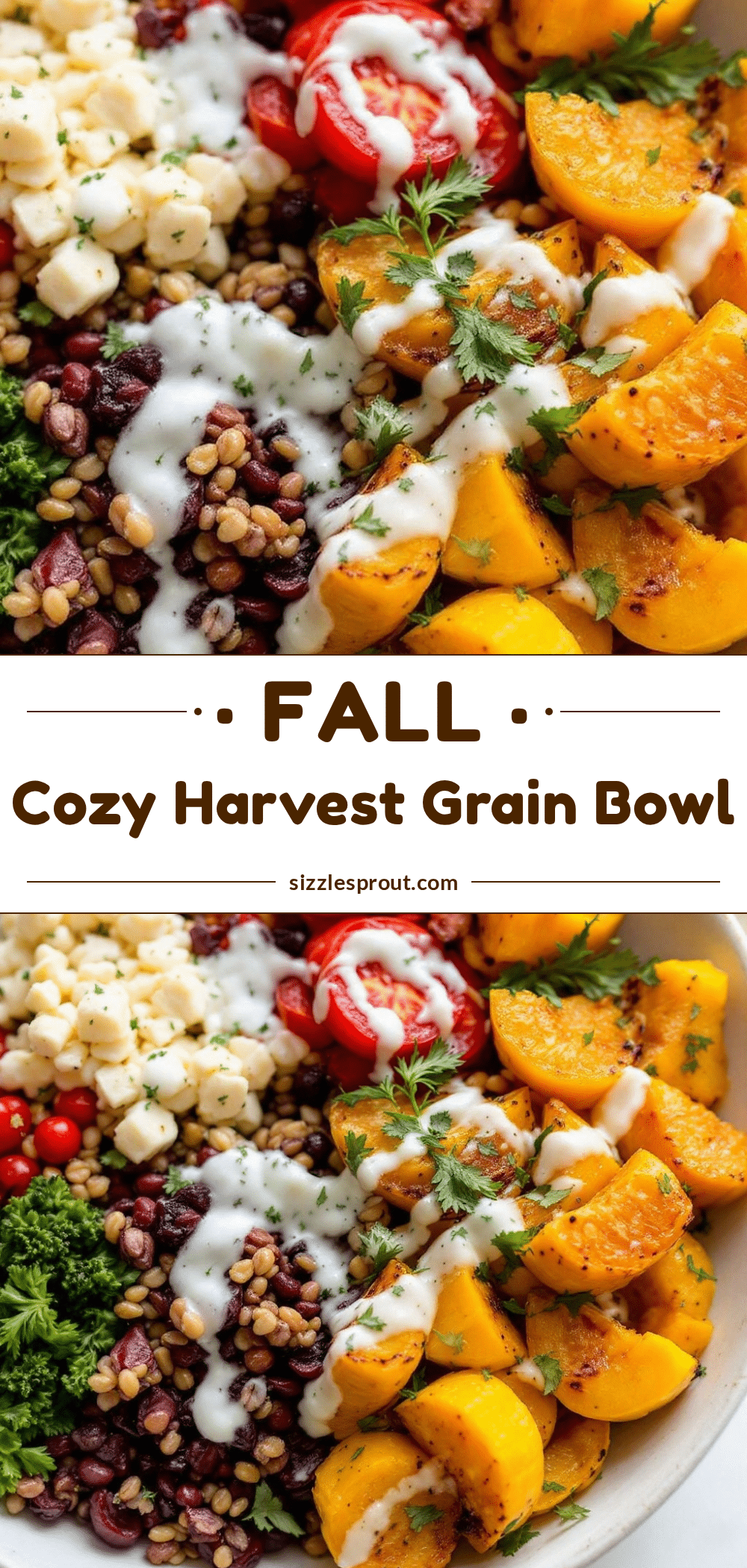 cozy fall harvest grain bowl with roasted delicata squash recipe