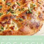 no-knead sourdough focaccia - featured image