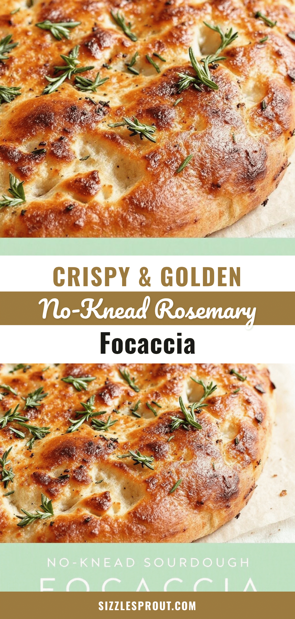 no-knead sourdough focaccia recipe