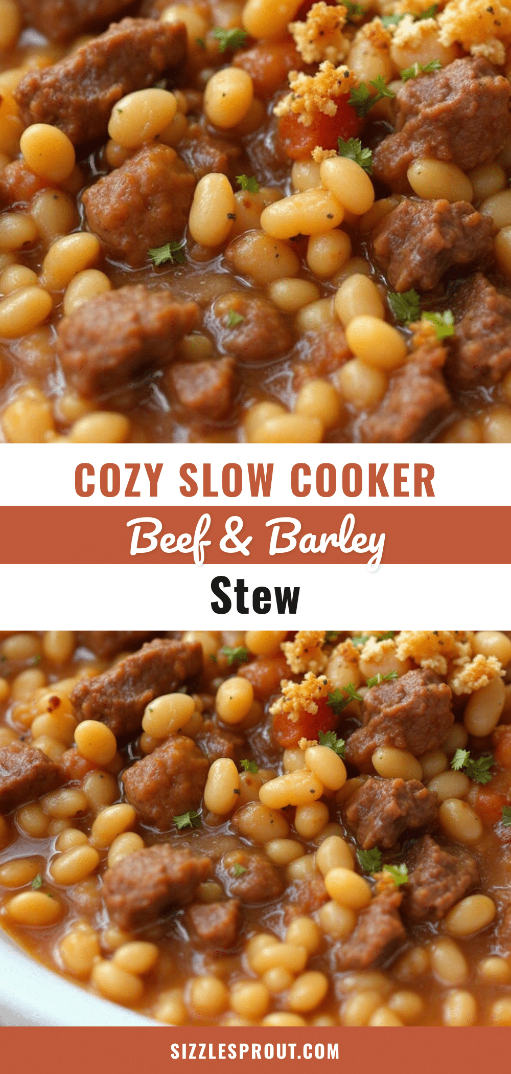 slow cooker beef and barley stew recipe