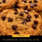 Small batch pumpkin chocolate chip cookies - featured image